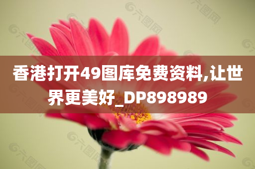 香港打开49图库免费资料,让世界更美好_DP898989