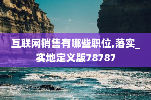 互联网销售有哪些职位,落实_实地定义版78787
