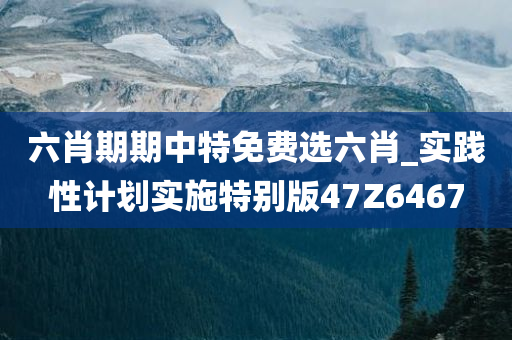 六肖期期中特免费选六肖_实践性计划实施特别版47Z6467