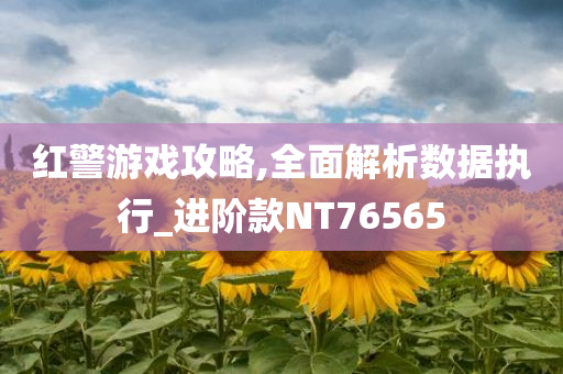 红警游戏攻略,全面解析数据执行_进阶款NT76565