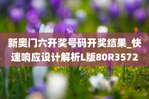 新奥门六开奖号码开奖结果_快速响应设计解析L版80R3572