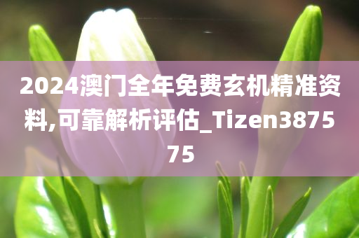 chenxinyao 第72页