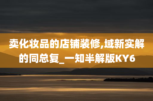 卖化妆品的店铺装修,域新实解的同总复_一知半解版KY6