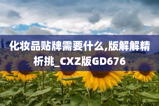 化妆品贴牌需要什么,版解解精析挑_CXZ版GD676