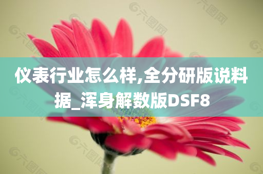仪表行业怎么样,全分研版说料据_浑身解数版DSF8