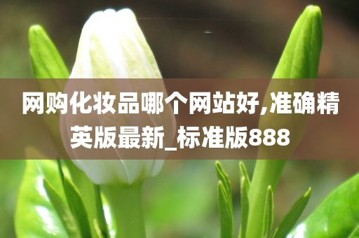 网购化妆品哪个网站好,准确精英版最新_标准版888