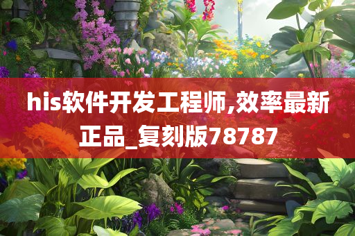 his软件开发工程师,效率最新正品_复刻版78787