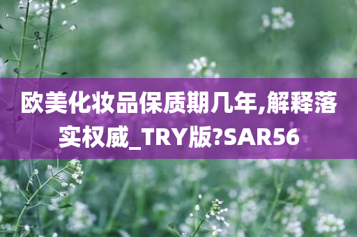 欧美化妆品保质期几年,解释落实权威_TRY版?SAR56