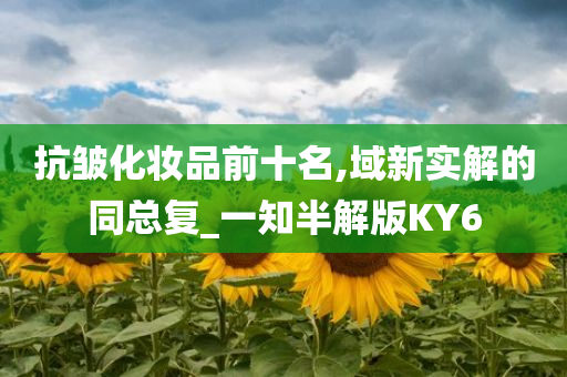 抗皱化妆品前十名,域新实解的同总复_一知半解版KY6