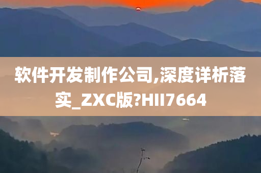软件开发制作公司,深度详析落实_ZXC版?HII7664