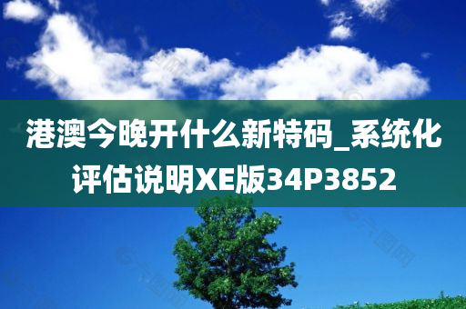 港澳今晚开什么新特码_系统化评估说明XE版34P3852
