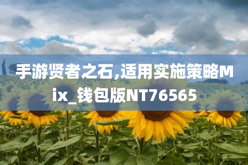 手游贤者之石,适用实施策略Mix_钱包版NT76565