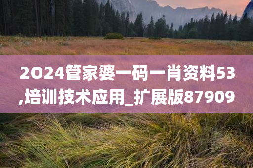 2O24管家婆一码一肖资料53,培训技术应用_扩展版879090