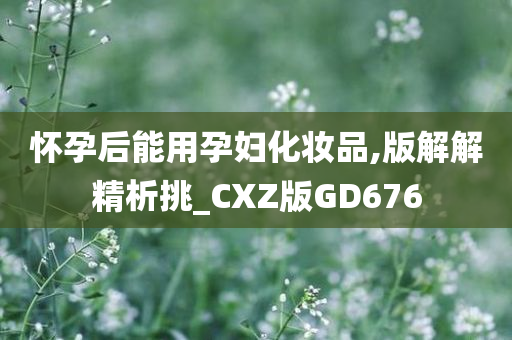 怀孕后能用孕妇化妆品,版解解精析挑_CXZ版GD676