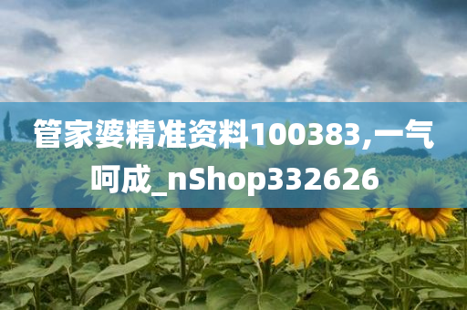 管家婆精准资料100383,一气呵成_nShop332626