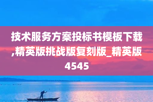 技术服务方案投标书模板下载,精英版挑战版复刻版_精英版4545