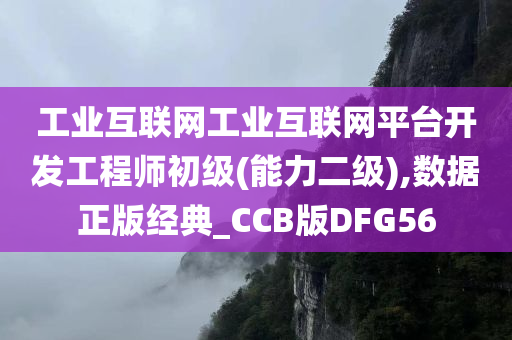 工业互联网工业互联网平台开发工程师初级(能力二级),数据正版经典_CCB版DFG56