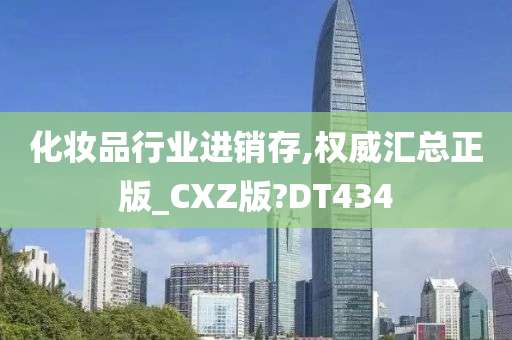 化妆品行业进销存,权威汇总正版_CXZ版?DT434
