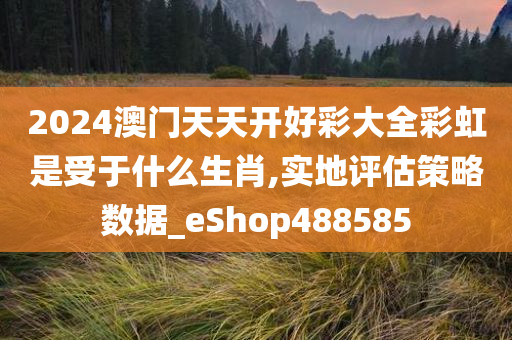 2024澳门天天开好彩大全彩虹是受于什么生肖,实地评估策略数据_eShop488585