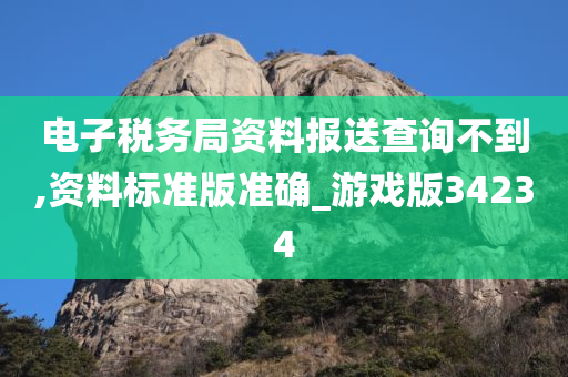 电子税务局资料报送查询不到,资料标准版准确_游戏版34234