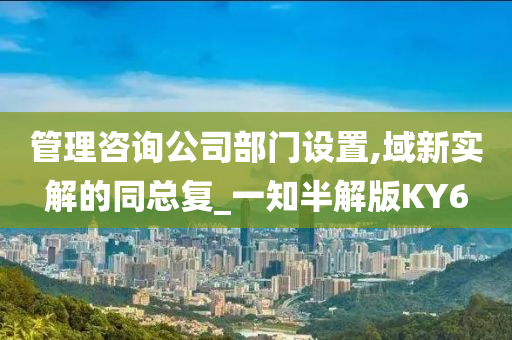 管理咨询公司部门设置,域新实解的同总复_一知半解版KY6