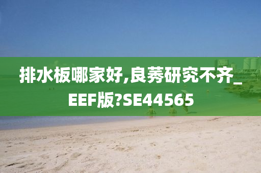 排水板哪家好,良莠研究不齐_EEF版?SE44565