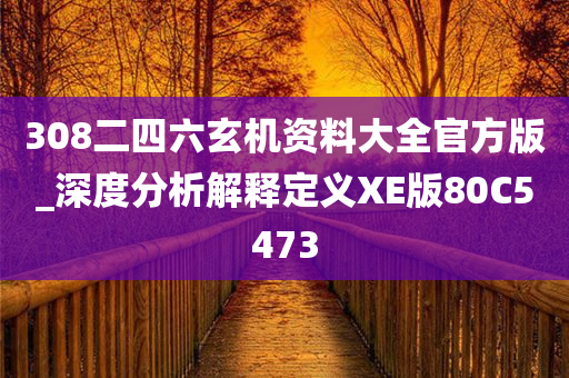 308二四六玄机资料大全官方版_深度分析解释定义XE版80C5473
