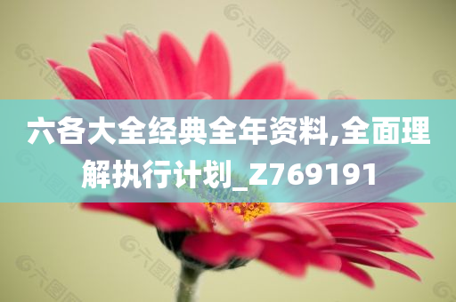 六各大全经典全年资料,全面理解执行计划_Z769191