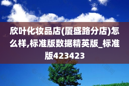 欣叶化妆品店(厦盛路分店)怎么样,标准版数据精英版_标准版423423