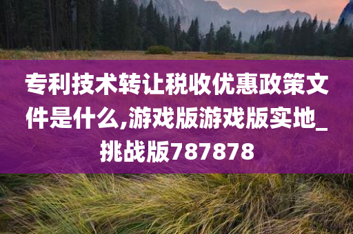专利技术转让税收优惠政策文件是什么,游戏版游戏版实地_挑战版787878