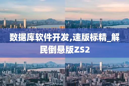 数据库软件开发,速版标精_解民倒悬版ZS2