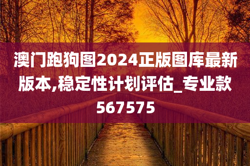 澳门跑狗图2024正版图库最新版本,稳定性计划评估_专业款567575