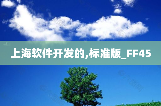 上海软件开发的,标准版_FF45