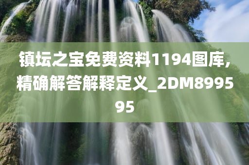 镇坛之宝免费资料1194图库,精确解答解释定义_2DM899595