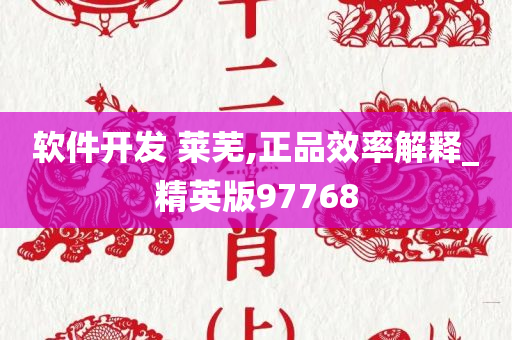 软件开发 莱芜,正品效率解释_精英版97768