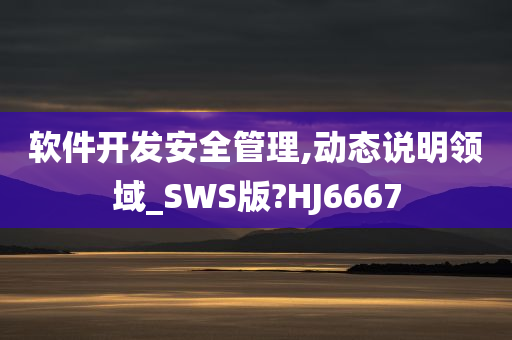 软件开发安全管理,动态说明领域_SWS版?HJ6667