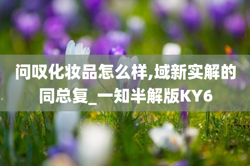问叹化妆品怎么样,域新实解的同总复_一知半解版KY6