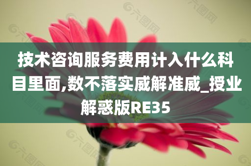 技术咨询服务费用计入什么科目里面,数不落实威解准威_授业解惑版RE35