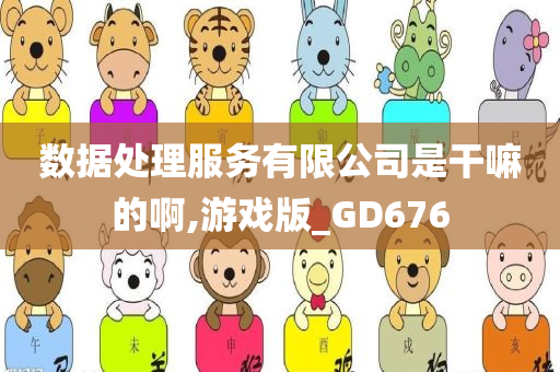 数据处理服务有限公司是干嘛的啊,游戏版_GD676
