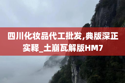四川化妆品代工批发,典版深正实释_土崩瓦解版HM7