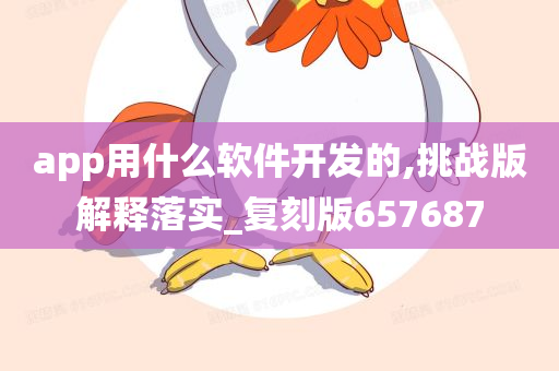 app用什么软件开发的,挑战版解释落实_复刻版657687