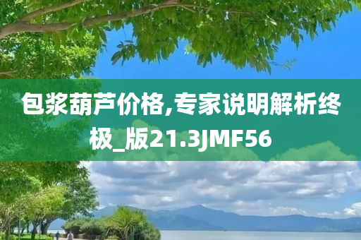 包浆葫芦价格,专家说明解析终极_版21.3JMF56