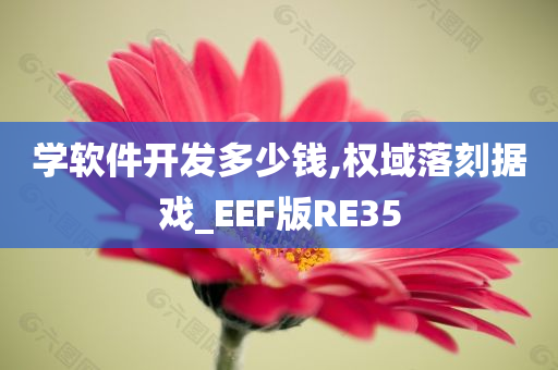 学软件开发多少钱,权域落刻据戏_EEF版RE35今晚必出三肖2025_2025新澳门精准免费提供·精确判断