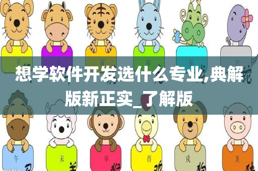 想学软件开发选什么专业,典解版新正实_了解版