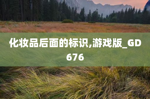 化妆品后面的标识,游戏版_GD676