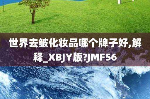世界去皱化妆品哪个牌子好,解释_XBJY版?JMF56