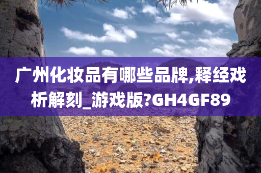 广州化妆品有哪些品牌,释经戏析解刻_游戏版?GH4GF89