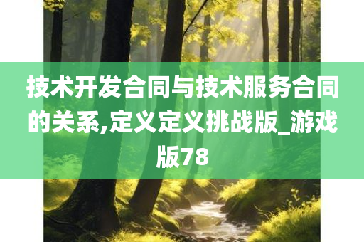 技术开发合同与技术服务合同的关系,定义定义挑战版_游戏版78