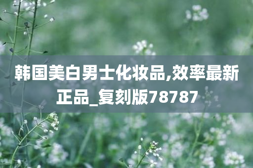 韩国美白男士化妆品,效率最新正品_复刻版78787