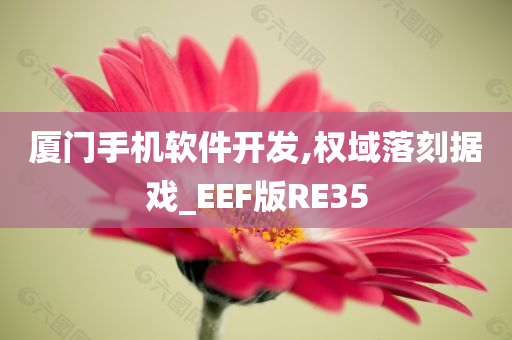 厦门手机软件开发,权域落刻据戏_EEF版RE35